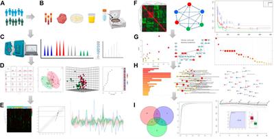 Innovation in identifying metabolites from complex metabolome—Highlights of recent analytical platforms and protocols